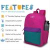 imageLone Cone School Kids Backpacks for Girls ampamp Boys Cute Toddler Backpack for Girls ampamp Boys wLaptop Sleeve  Kids Laptop Backpack 17quot tall  PinkTealPurple