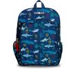 imageLone Cone School Kids Backpacks for Girls ampamp Boys Kindergarten ampamp Elementary cute Toddler Backpack for Girls ampamp Boys  Preschool Grades 13 Little Learner 15quot tall  Shark School