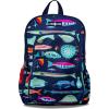 imageLone Cone School Kids Backpacks for Girls ampamp Boys Kindergarten ampamp Elementary cute Toddler Backpack for Girls ampamp Boys  Preschool Grades 13 Little Learner 15quot tall  School of Fish